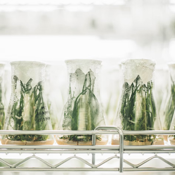 Lab scene